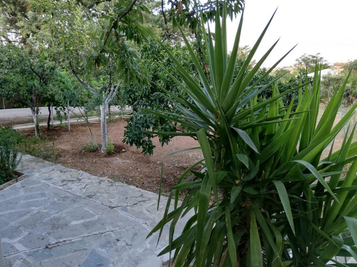 Dreamhome -10Min From Airport- Artemida (Attica) Exterior foto